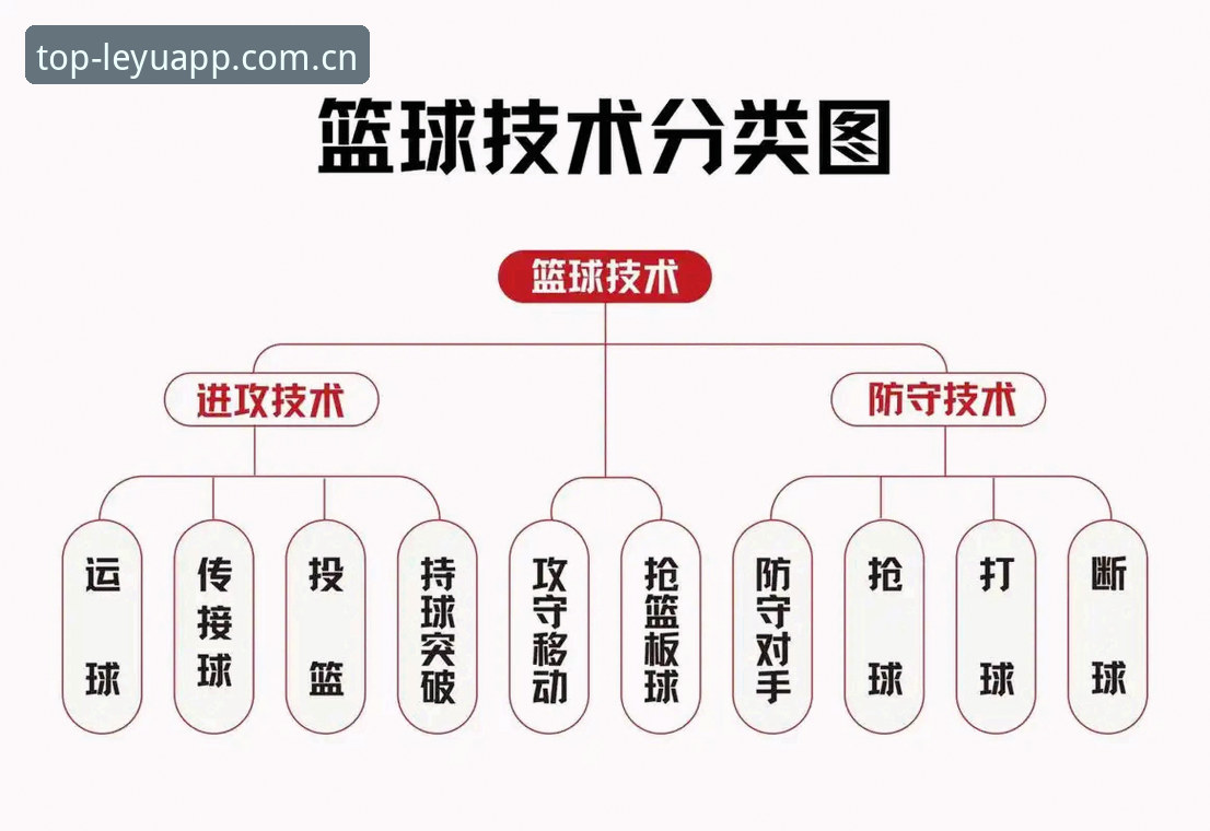 乐鱼体育平台完整使用指南：官网最新版安装篮球数据的逐代演进与操作详解